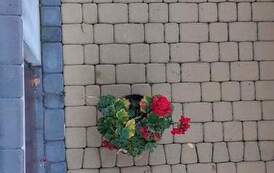 received_1341683146371820