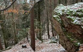 SKKT na szlaku 19.11.2022 7