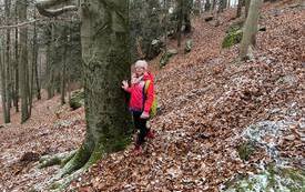 SKKT na szlaku 19.11.2022 15