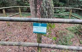 331770287_6375147435853150_8553527616924992918_n