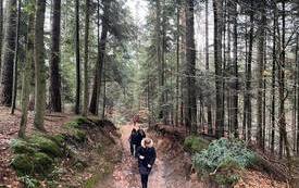 332842804_917361573022682_5733750904497775832_n