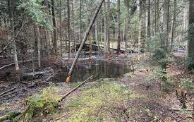 332966078_2034175313580052_9115064658164892570_n