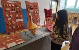 received_1630078514177599