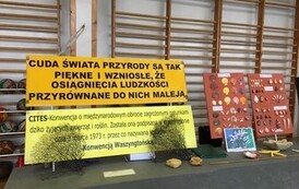 received_719585326578805