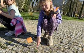 340181873_1564953677361201_7810536530992403767_n