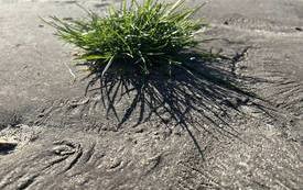 340407796_181758551472332_8391184504355954613_n