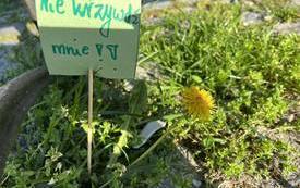 344296538_655492136590510_8988988969072721388_n