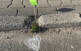 340746670_978523326843235_7019525981445118457_n