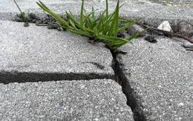 340562127_908950190274459_4813874370754807514_n