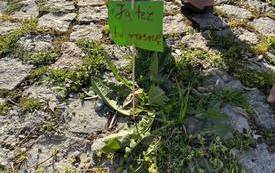 340478731_568913258665827_4428285854163868183_n