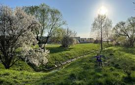 339244586_179752754948366_2360158764555544240_n