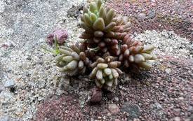 340800269_157423727283445_2879901308874711436_n