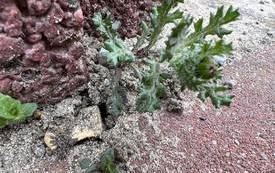 340518337_780460220345694_7382256100438377602_n