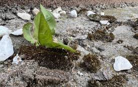 340740180_1546717115855456_2540834297361186712_n