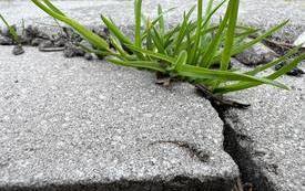 340501356_155320614164524_7317357878481095377_n