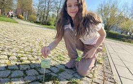 340251528_242934988260791_2694674945184310866_n