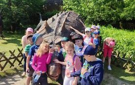 received_229194869824174