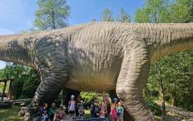 received_1037345517246570