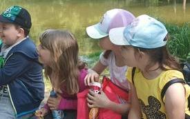 received_1396113167844787