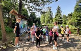 received_1371496966750330