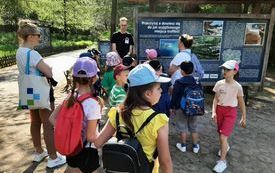 received_845633193658254