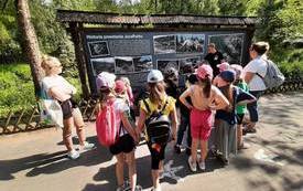 received_741316701126694