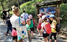 received_6502743866473648