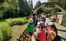 received_793075852374937