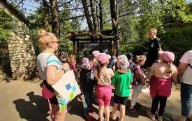 received_242908221679319