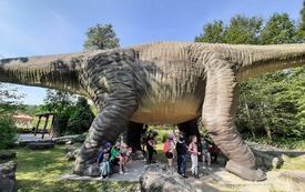 received_769787531257001