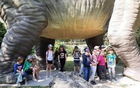 received_985443492626472