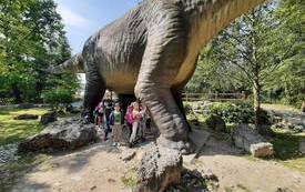 received_3040163996287800