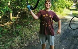 received_337175588708620