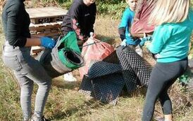 received_264569819622660