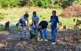 received_219382144468648