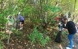 received_7037955129550898