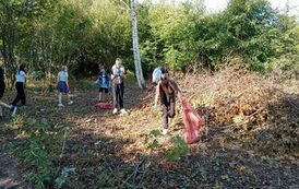 received_1019003342631921