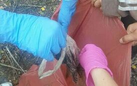 received_611848197547769