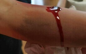 431742985_789163675876447_7080072144590180883_n