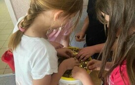 15acbc2e-b9c4-49d3-80ef-75f9e149215d