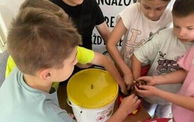 dbe7d359-40cc-40ef-85cd-889afb7807a7