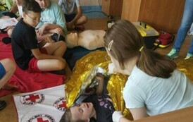 9cf451b0-f46b-4ad7-9371-fdd6a96eb084