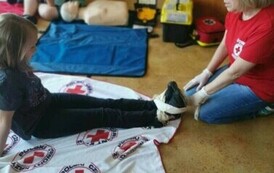 9d51e7af-69a3-460b-b73e-9c4446c62677