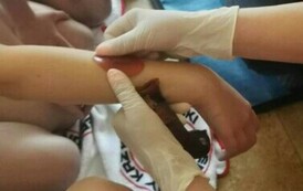 e1bbb47a-80a6-447a-9953-334a9b5a60d8