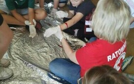 eab0b1a5-9e23-4184-81d5-693fcf6d9ffd