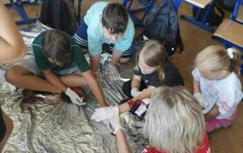 c0591044-6979-46c9-928a-35b36f4a1588