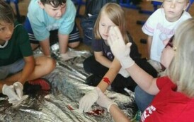 1c9c617f-e13a-4f76-97ce-a740c30e39c2