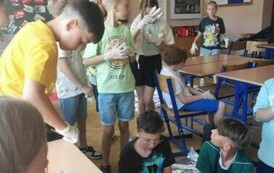 498ffc60-4229-4dd4-a84d-d6c51e9da75b