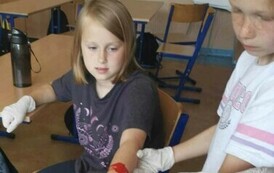 3bda63be-cfb7-43e9-a37b-dbf4ea11b558