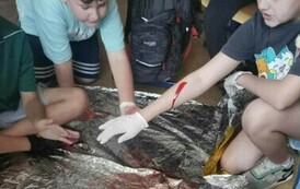 0248d565-2847-4d8a-a4ca-39e3d49e0834